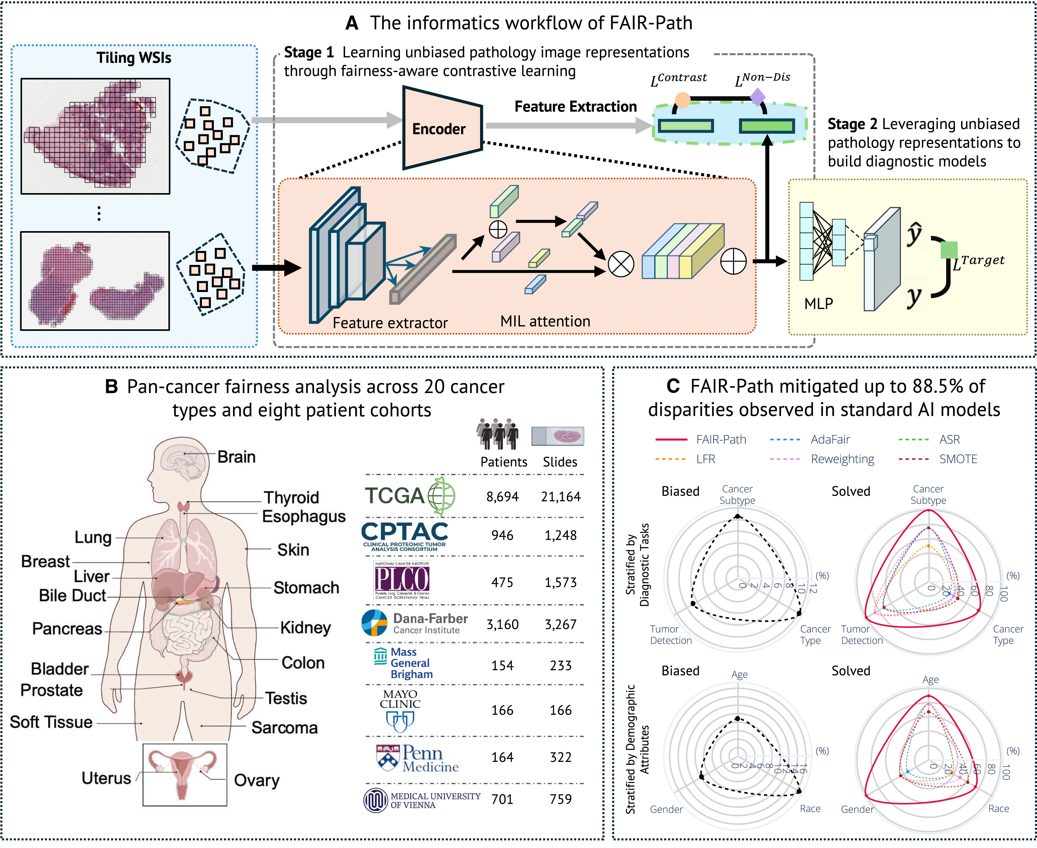 A 資料平等下的偏見檢測_B 資料不平等下偏見檢測_C 基因變異在偏見中的分析（以偏見為例）_基因變異在偏見中的分析（以變異有無為例）_D不同細胞型態與組別之間關聯性